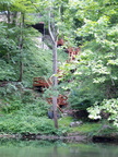 IMG 4142